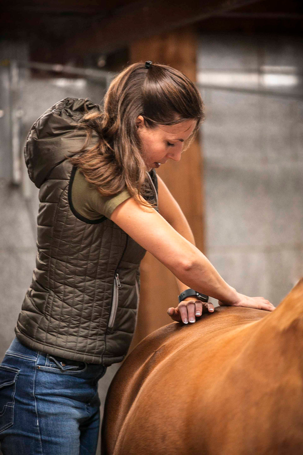 Basisgids Paardenmassage